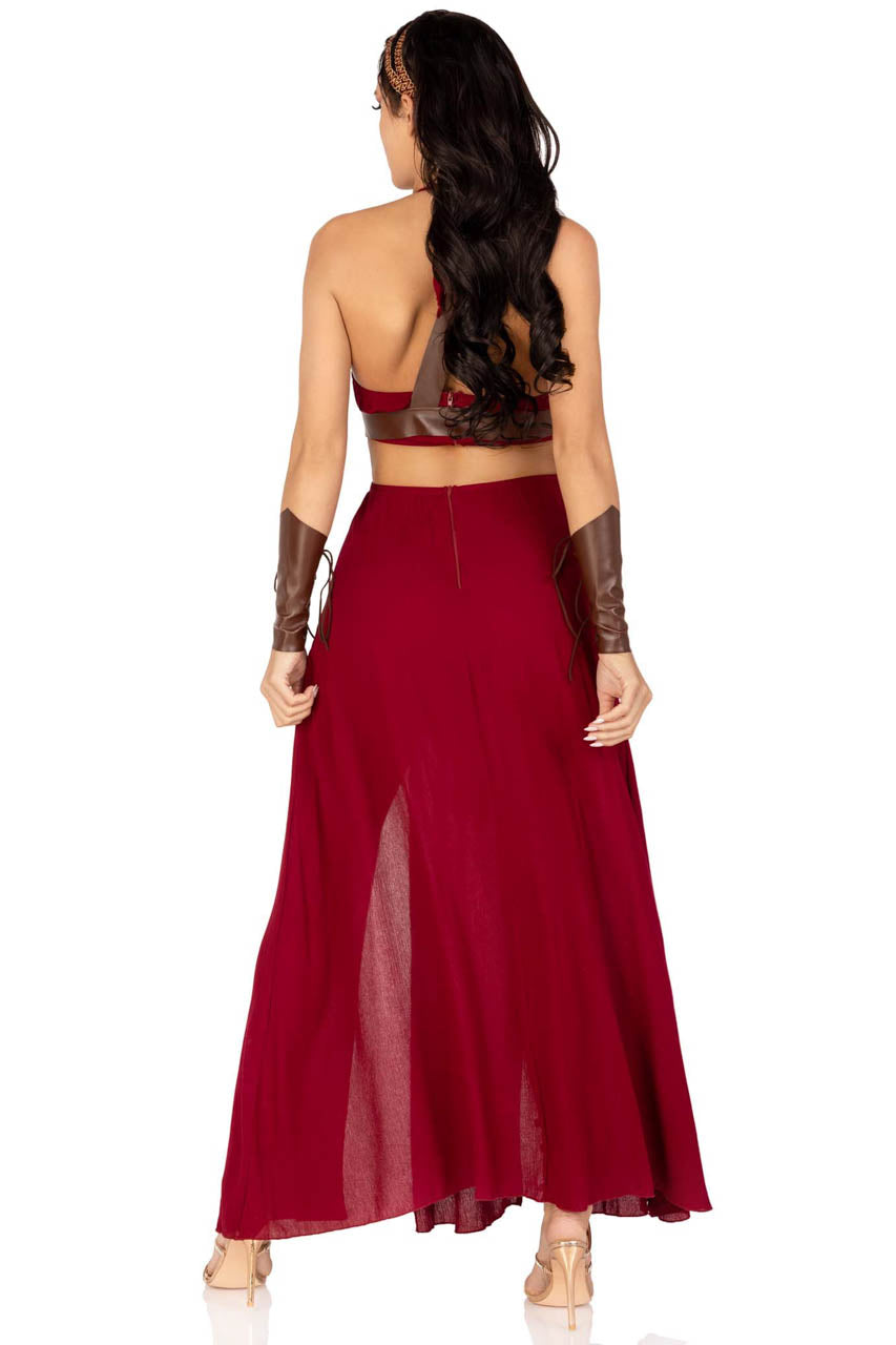 Warrior Maiden Costume