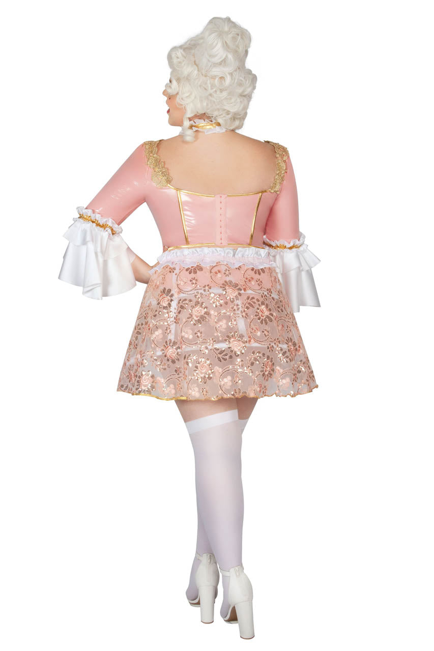 Plus Size Let Them Eat Cake Costume