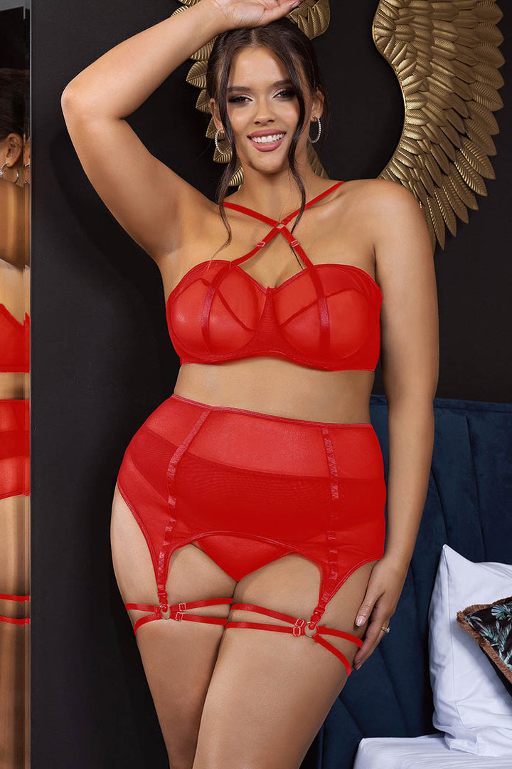 Plus Size Mesh Cage Bra and garter belt Set