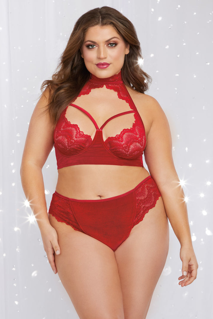 Plus Size Rouge Stretch Lace Bra Set